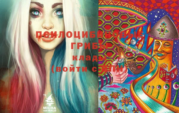 ECSTASY Алексин